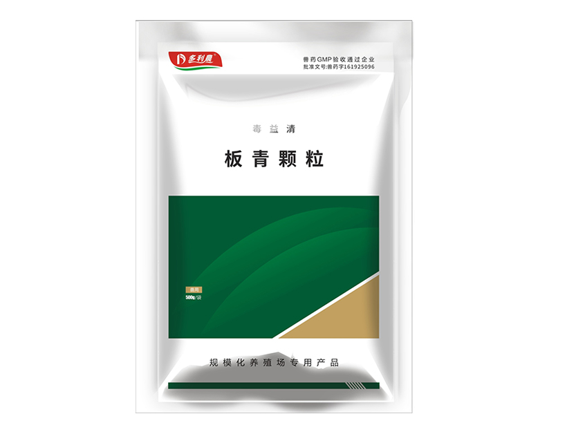 板青颗粒.jpg
